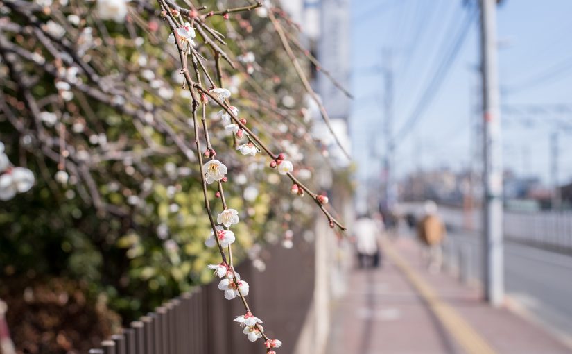 2月14日